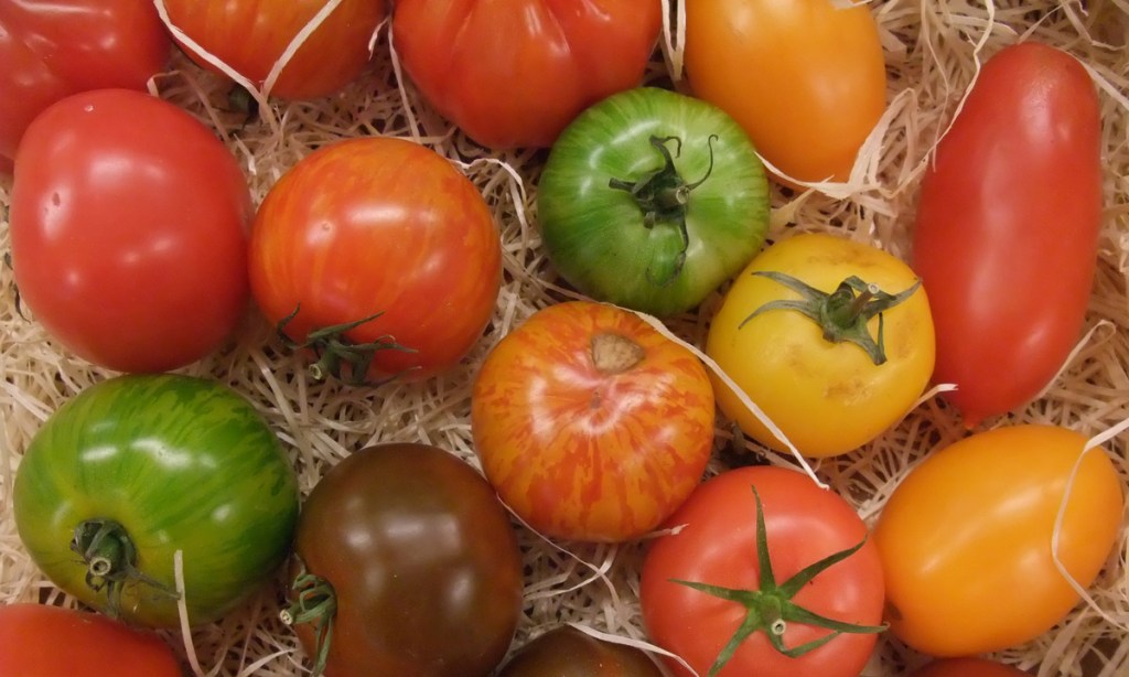 Heirloom tomatoes. Photo: mermaid/flickr