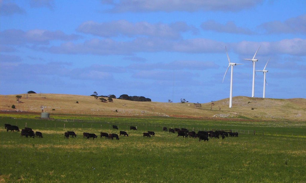 Thumbnail for 2023 Ag Town finalists announced