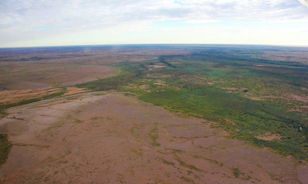 Rain has transformed the arid desert around Lake Eyre. Photo:  Marree Hotel