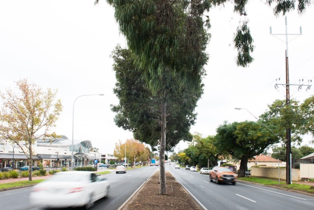 Thumbnail for Contentious tender attracts Ombudsman’s attention