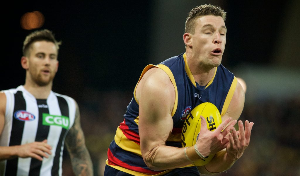 Thumbnail for Jenkins a Crow for the next five years