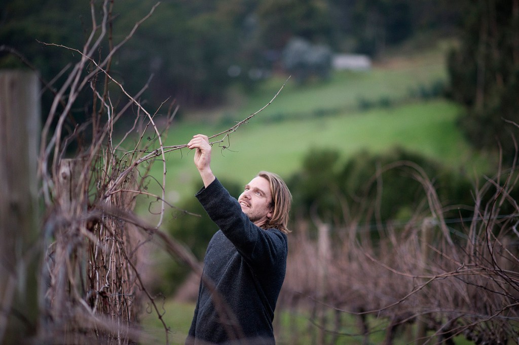 Thumbnail for Hills young guns of wine shine on national stage