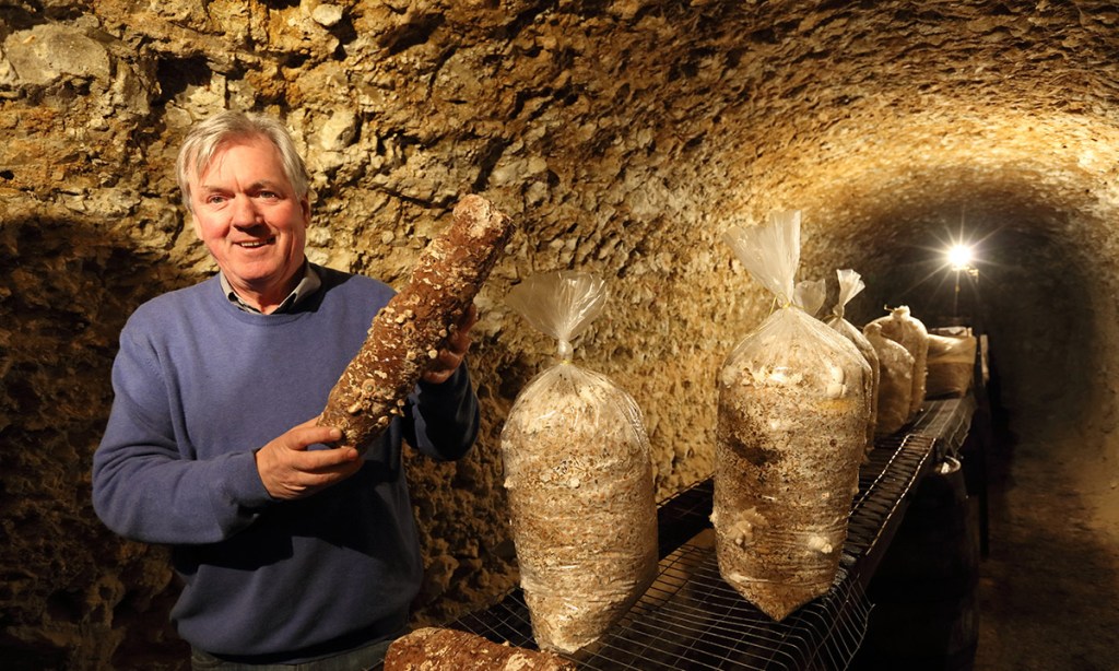 Thumbnail for Mushrooms: from cave to kitchen