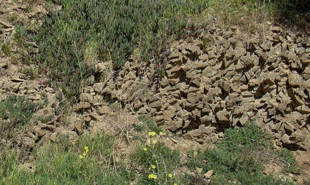 Ancient siltstone exposed at Bay of Shoals, Kangaroo Island.