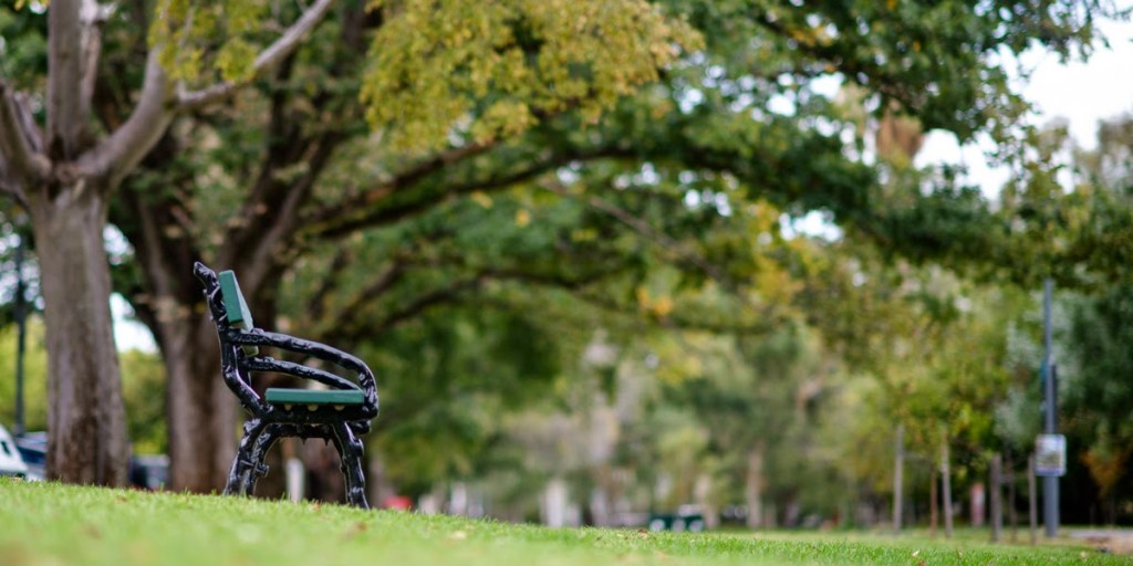 Photo: Nat Rogers / InDaily