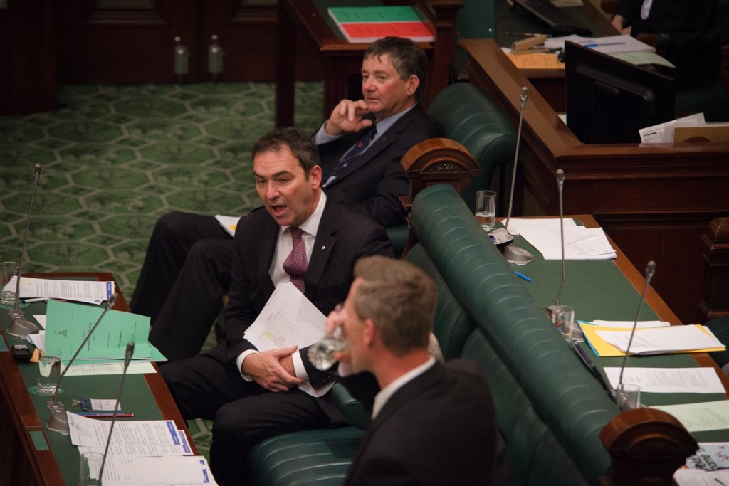 Thumbnail for Libs threaten to amend Children’s Commissioner bill