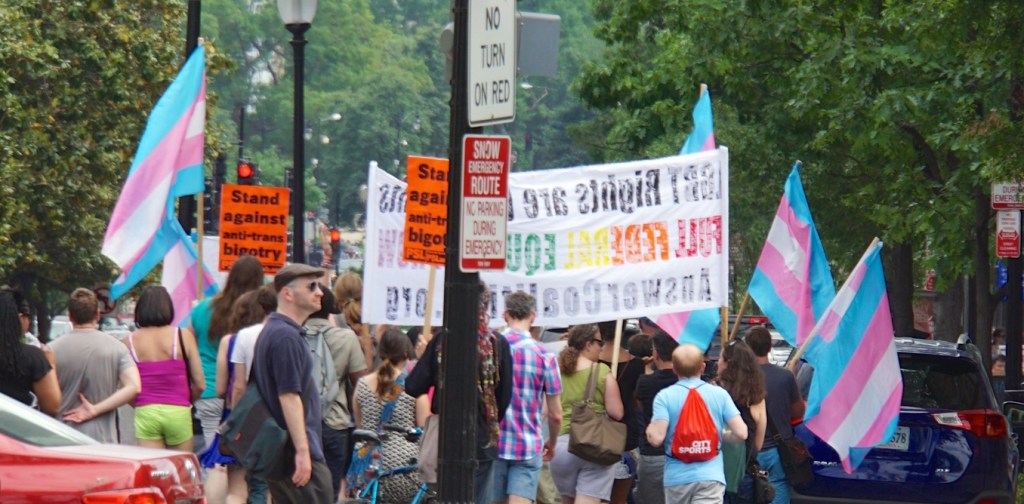 A trans solidarity rally and march in Washington. Photo: Ted Eytan/Flickr