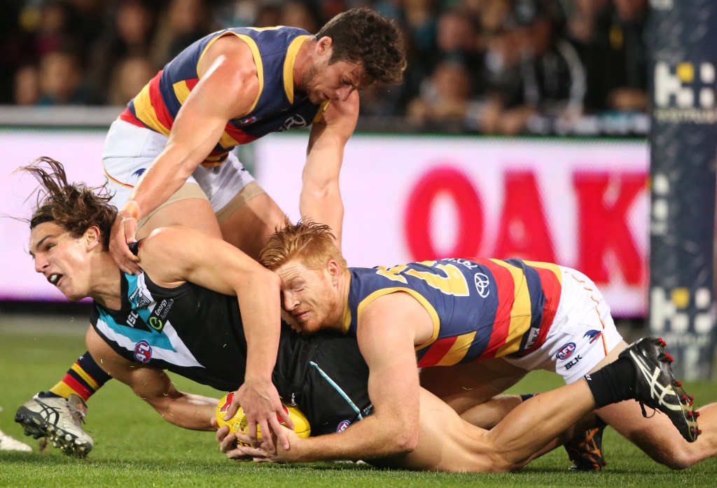 Thumbnail for Crows backmen cleared to play