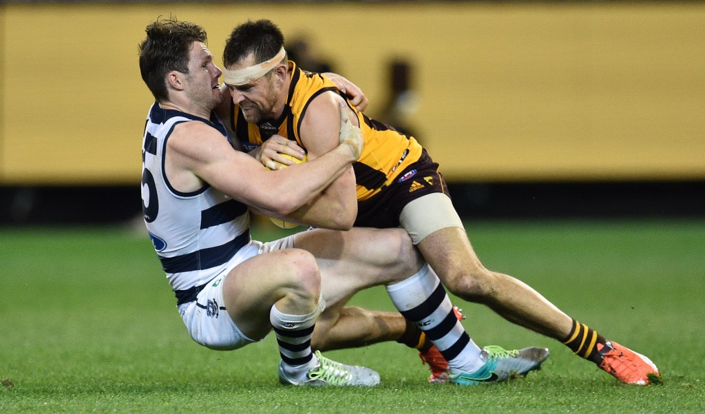 Geelong's Patrick Dangerfield and Hawthorn's Luke Hodge tussle in the Cats' home final at the MCG on Friday night. Photo: Julian Smith / AAP