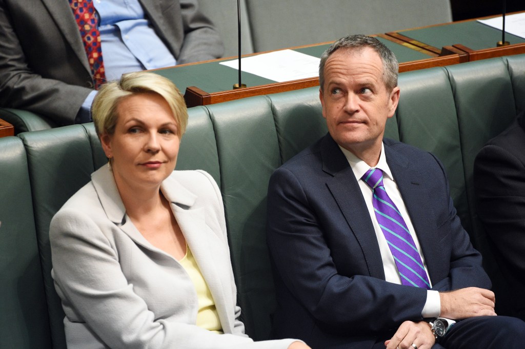 Thumbnail for Same-sex marriage plebiscite all but dead