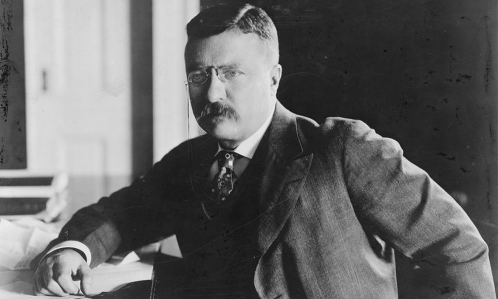 One of the most important American political dynasties emerged at the start of the 20th century when Theodore Roosevelt was elected vice-president and then president.