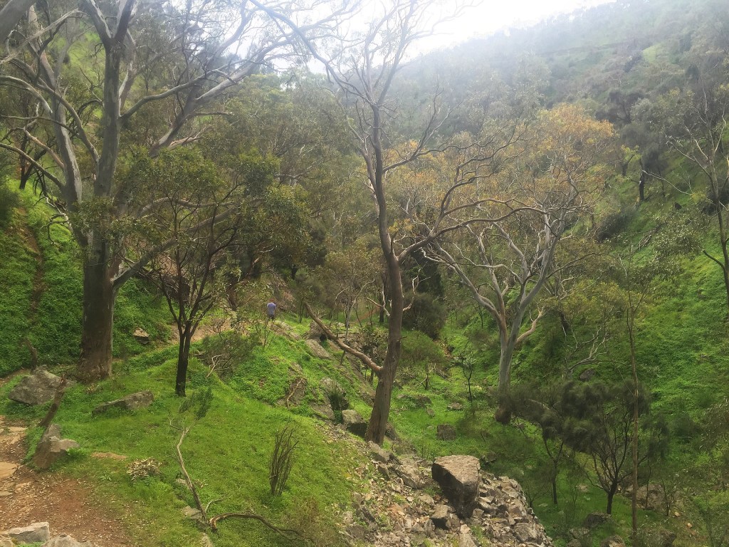 Thumbnail for Discover Adelaide’s hidden walking trails: Ambers Gully