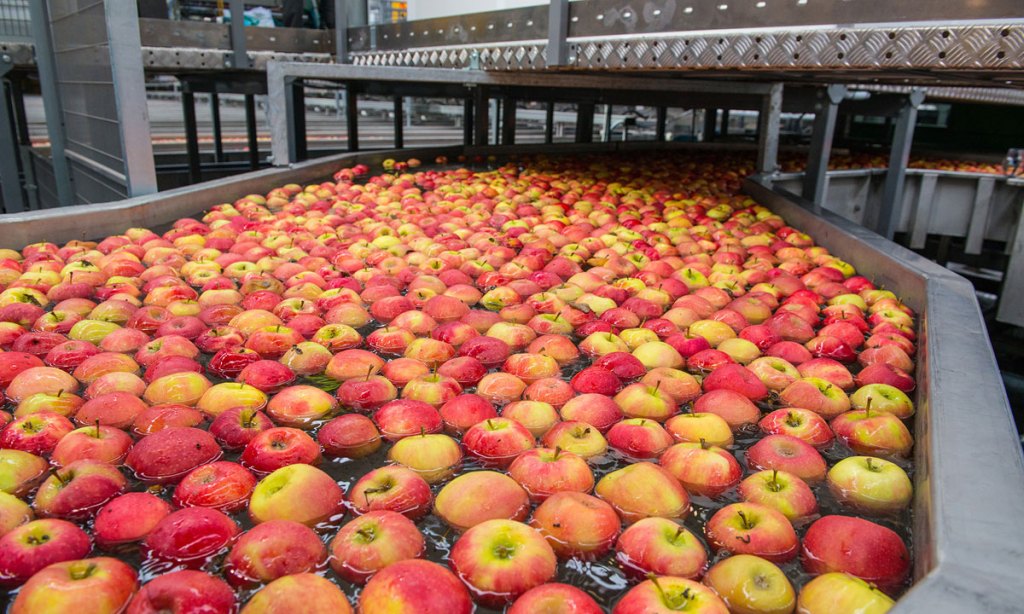 Lenswood Apples is an example of a successful South Australian family business. 