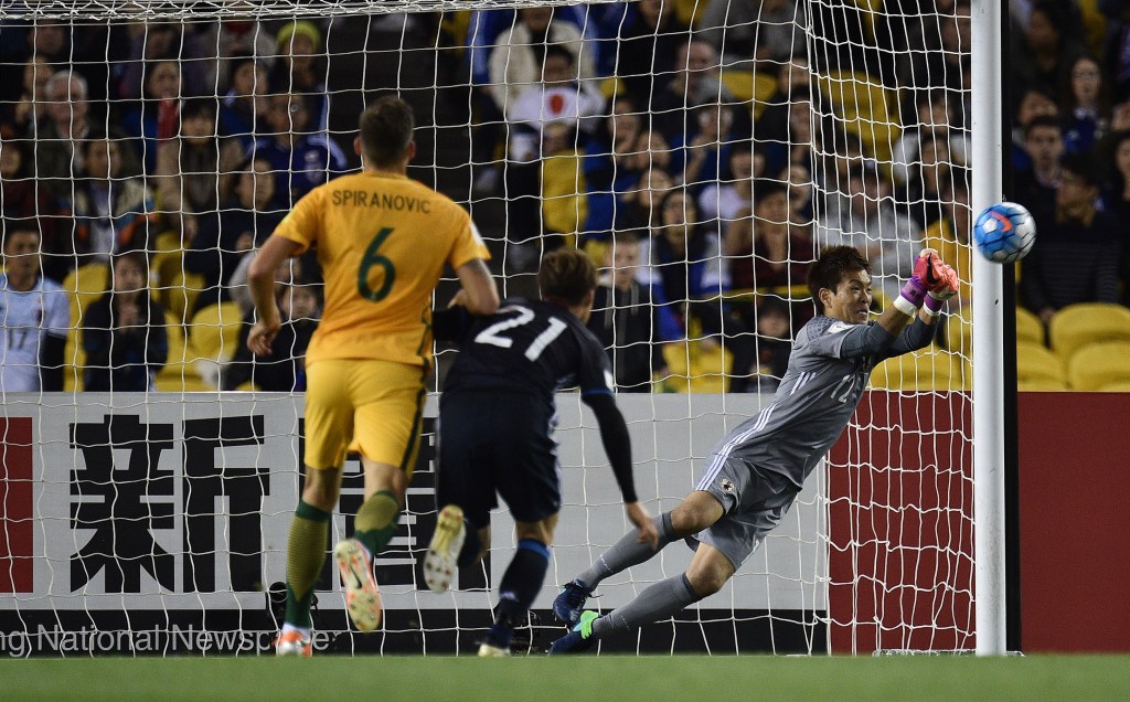 Thumbnail for Postecoglou demands more from flat Socceroos