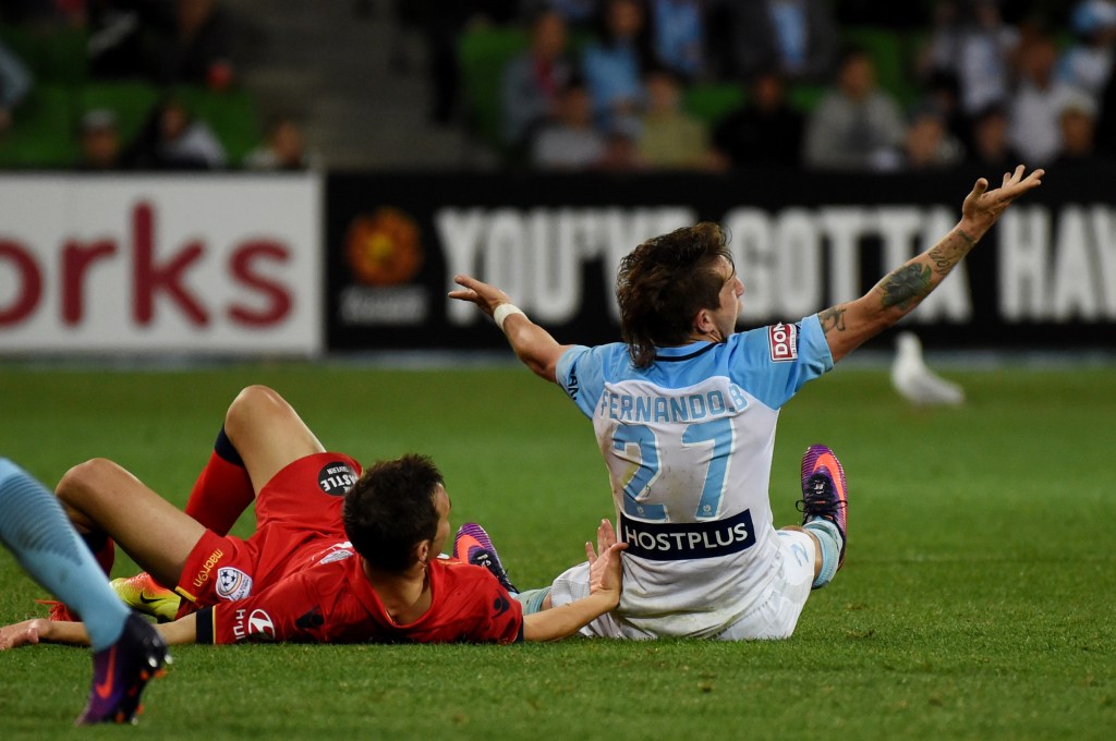 City's Fernando Brandan appeals to the referee after an awkward tackle by Adelaide's Sergio Guardiola. Photo: Tracey Nearmy / AAP
