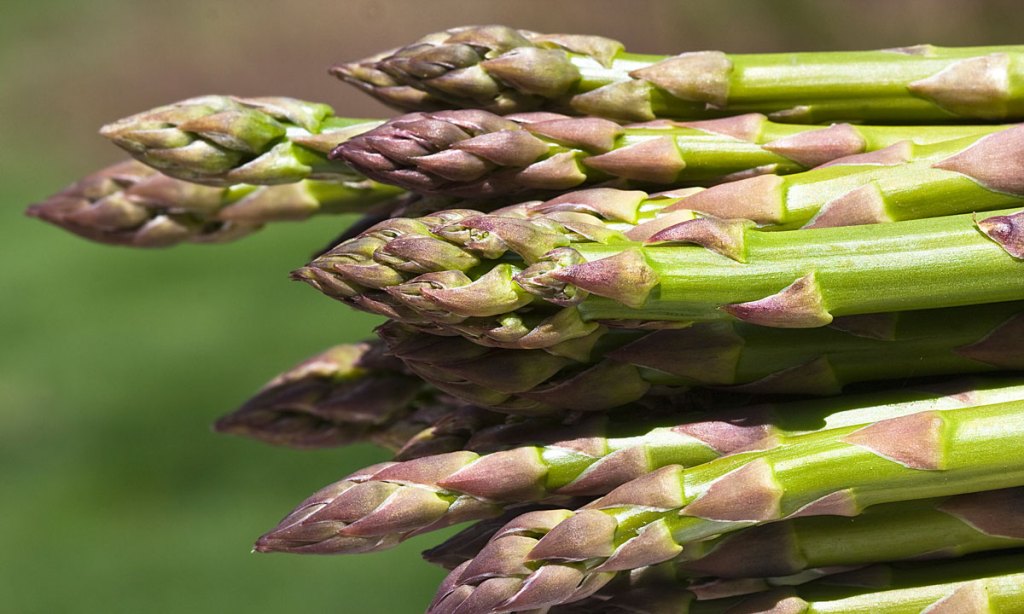 Thumbnail for Fresh at the markets: Asparagus