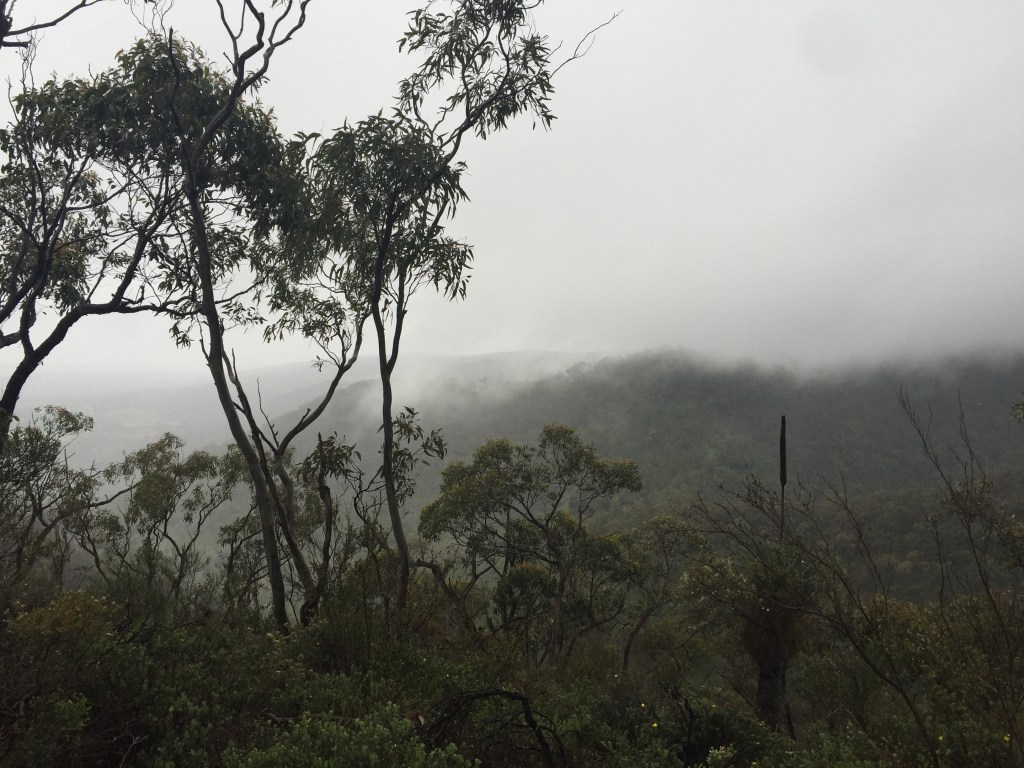 Thumbnail for Adelaide’s hidden walking trails: Black Hill Summit