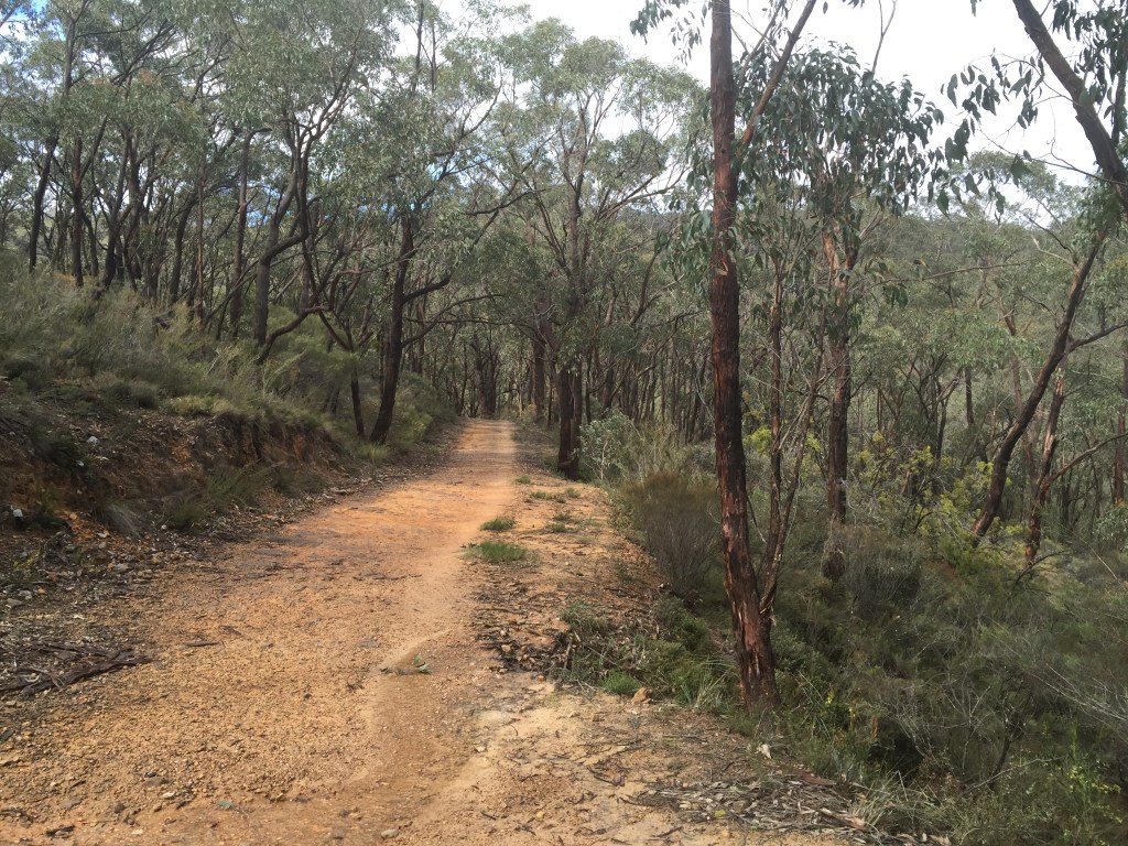 Thumbnail for Adelaide’s hidden walking trails: Measdays Lookout to Mt Lofty