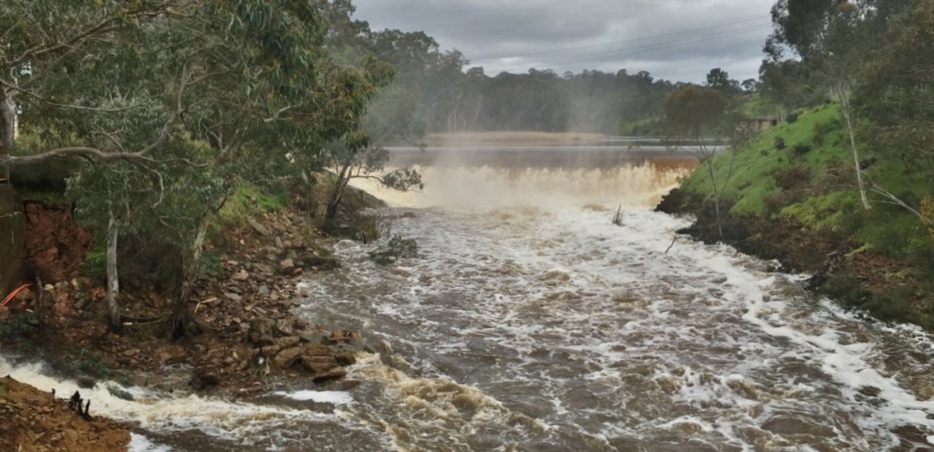 The ground is full of water: the Onkaparinga at Clarendon, mid-September. Photo: Mick Wordley