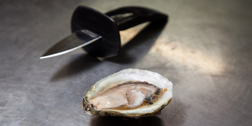 Thumbnail for Oyster breakthrough opens doors to Asia