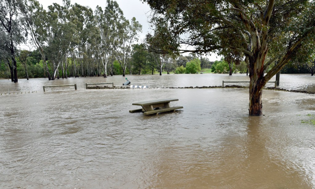 Thumbnail for The upside of SA’s floods