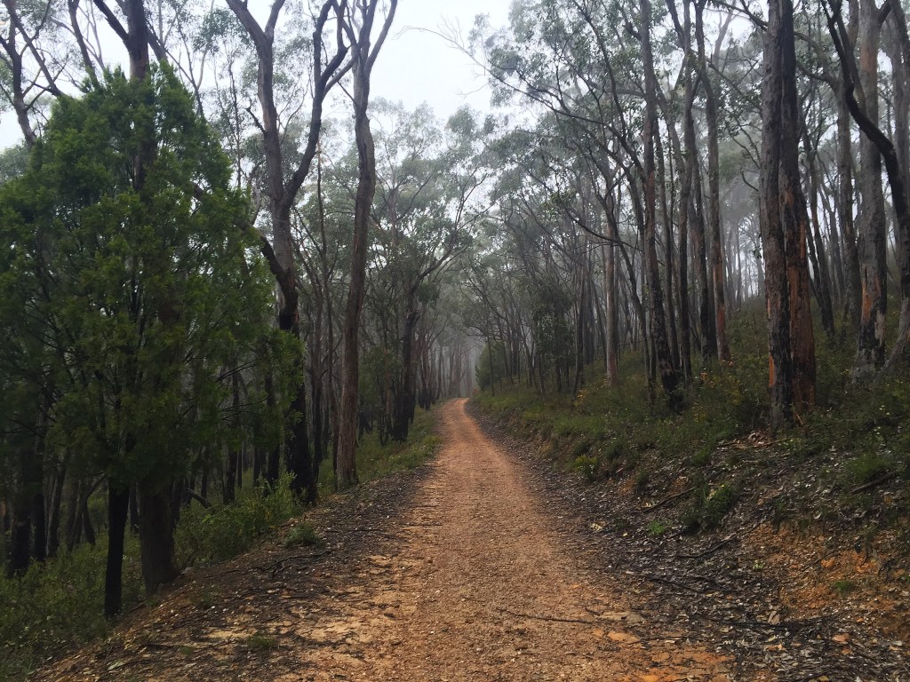 Thumbnail for Adelaide’s hidden walking trails: Winter Track and Long Ridge Track