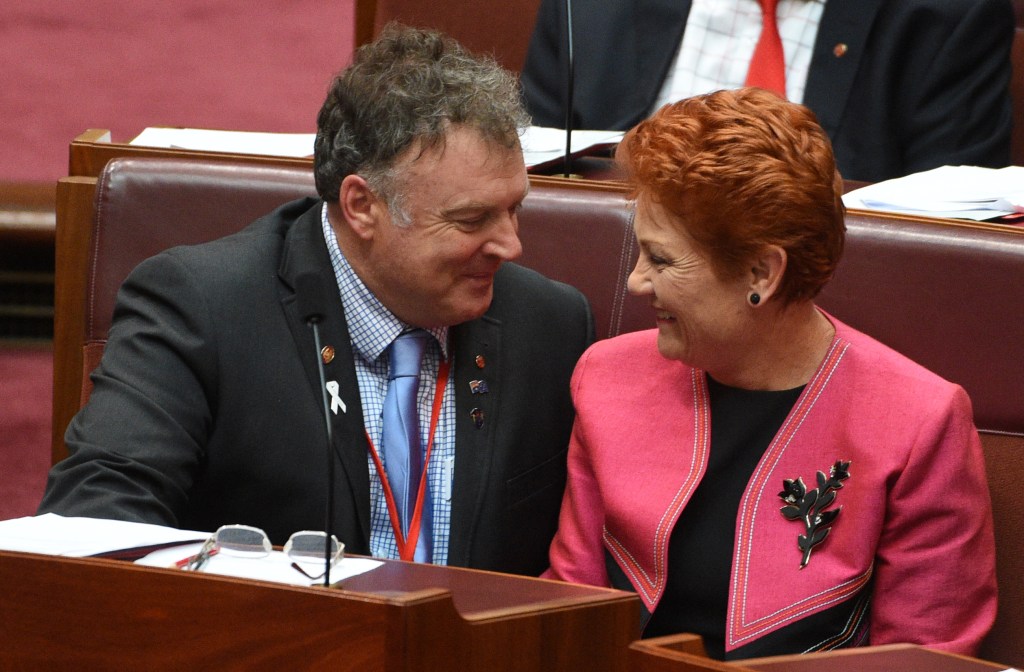 Rod Culleton and Pauline Hanson in the Senate. Photo: AAP/Mick Tsikas