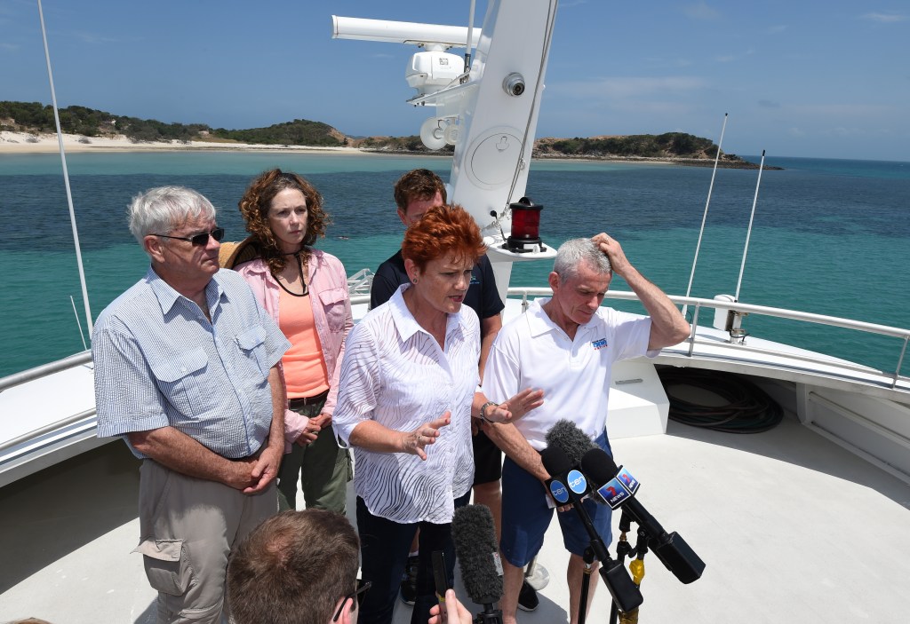 One Nation has ridden a wave of anti-elite populism this year. Photo: AAP/Dan Peled