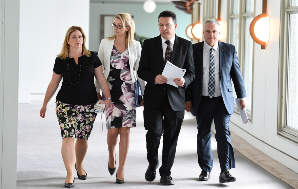 Thumbnail for “There’s a new volatility in the electorate”: Xenophon preferences loom as state poll X-factor