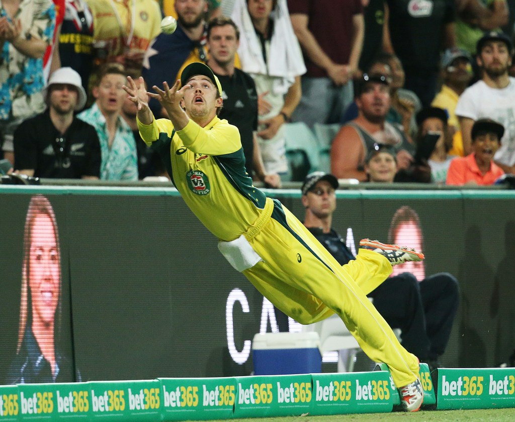 Travis Head dives for a catch against New Zealand at the SCG on Sunday. Photo: David Moir / AAP