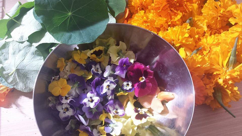 Thumbnail for Edible flowers, Christmas classics and cocktails at the races