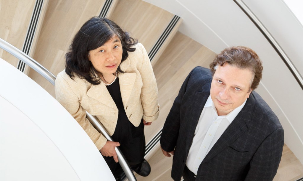 Thumbnail for Gut health linked to better outcomes for depression
