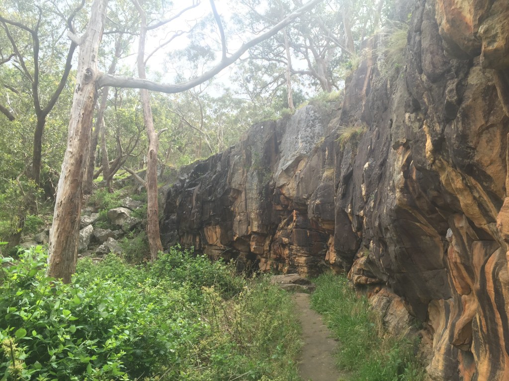 Thumbnail for Adelaide walking trails: Belair National Park