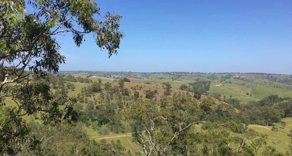 Thumbnail for Adelaide walking trails: Para Wirra Recreation Park
