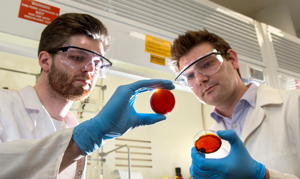 Thumbnail for University students urged to create their own job