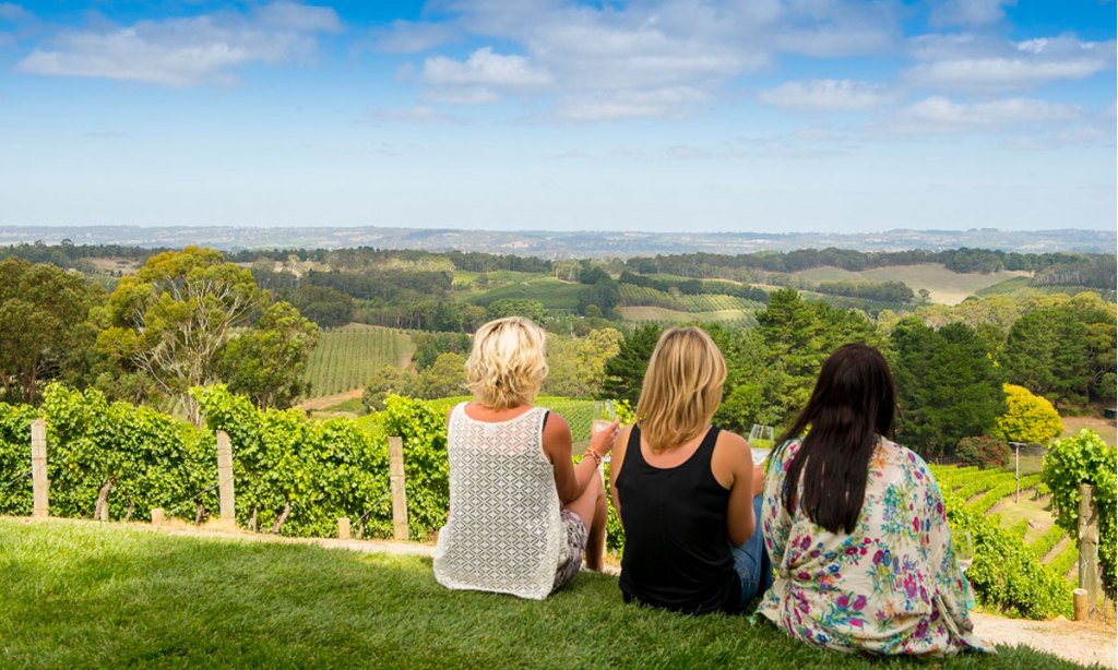 Adelaide Hills annual Crush Festival. 