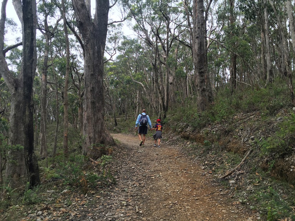 Crafers to Mount Lofty