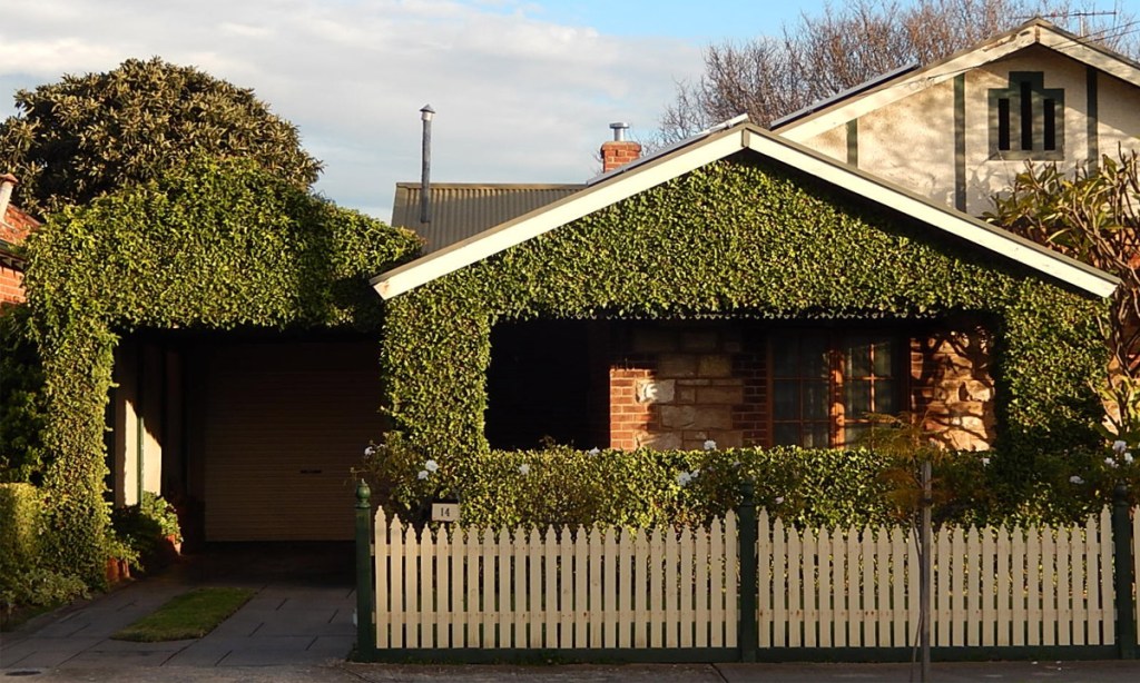 Thumbnail for Climate experts reveal Adelaide’s hot spots