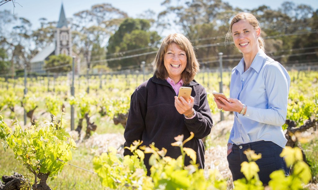 Thumbnail for Virtual vineyard gate aims to keep out grape pests