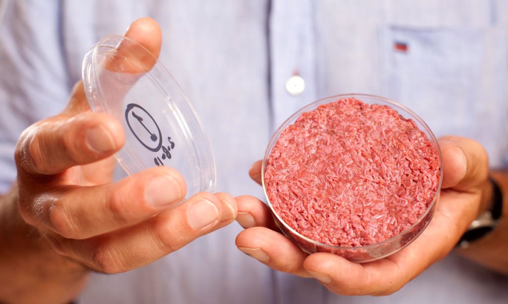 Thumbnail for Would you eat meat grown in a lab?
