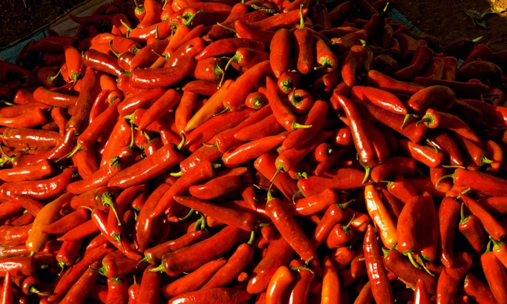 Thumbnail for Chilli Festival, food trucks and Fringe fun