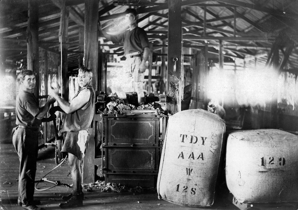 Thumbnail for Time and place: Port Adelaide’s wool stores