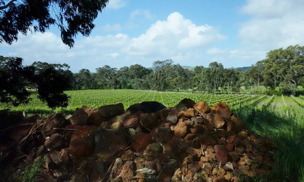Ironstone at Yangarra ... Shiraz thrives in it.