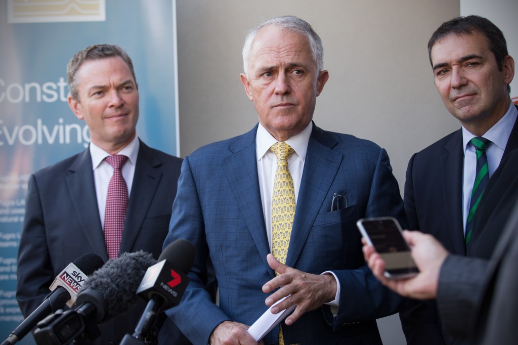 Thumbnail for Libs’ Heysen candidate withdraws over Turnbull sledge