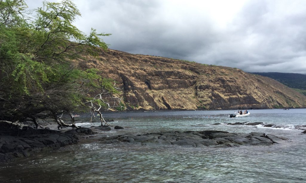 Kealakekua Bay. Photo: Michael Wayne / AAP