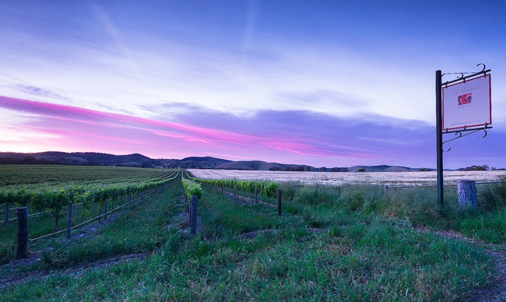 Thumbnail for Sky is no limit for high-altitude wine blend