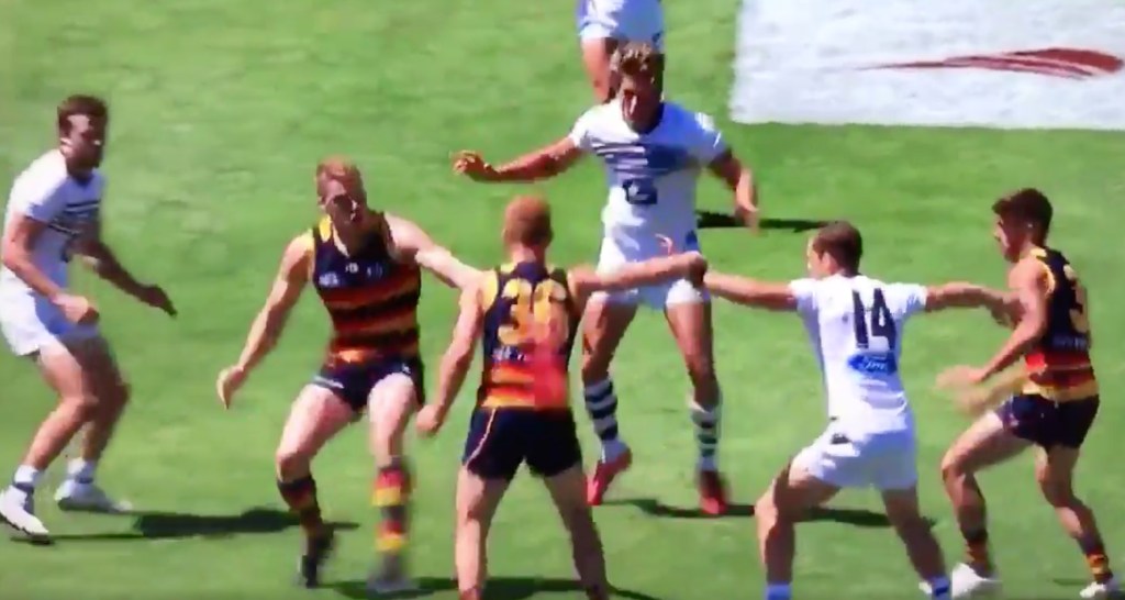 Thumbnail for Crows query ruck rule, Port with a Power of work to do