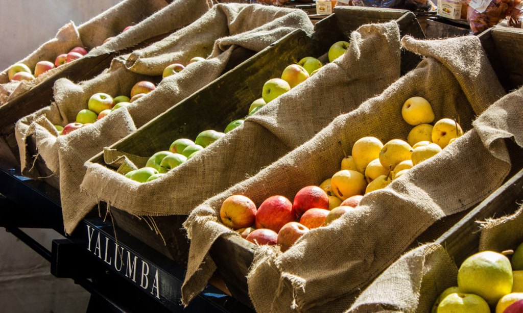 Yalumba is hosting a Festival Garden today to kick off the Barossa Vintage Festival. Photo: Nathaniel Mason