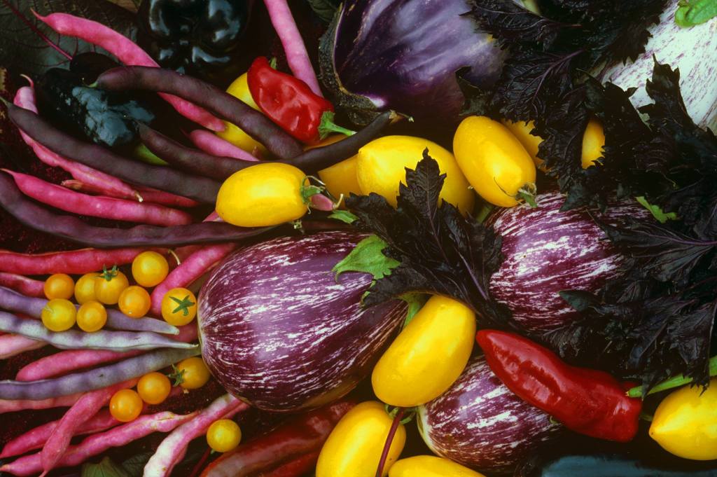 Thumbnail for Growing gains, wine time and Barossa fare