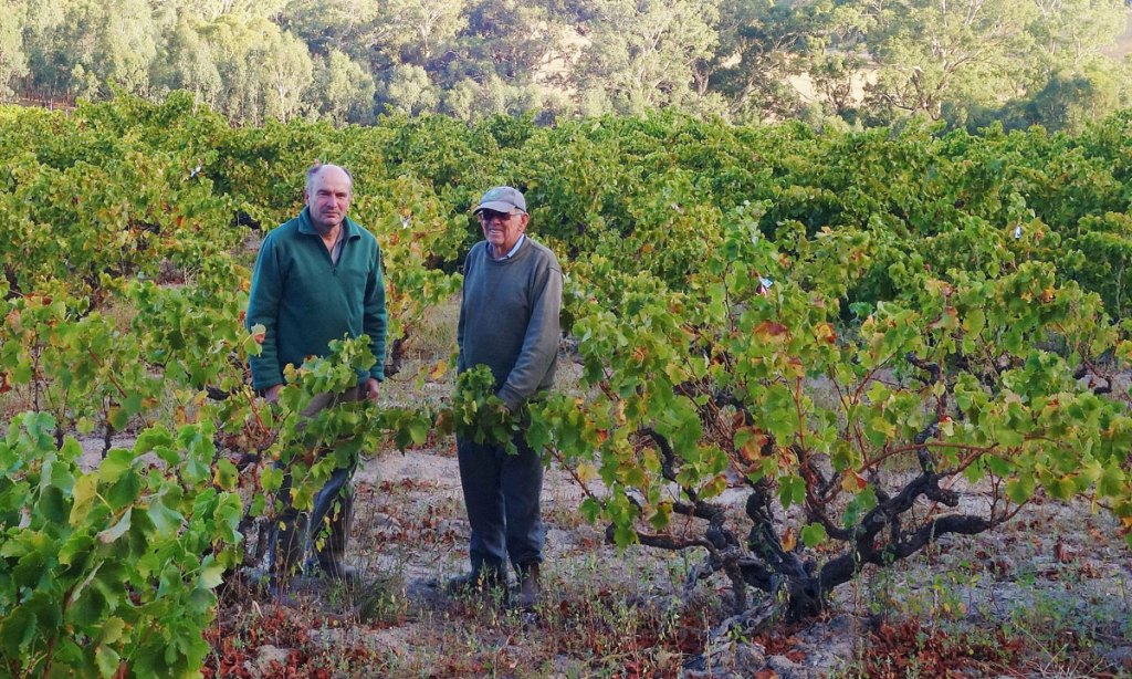 Saved by the Italian community: Bernard Smart and his son Wayne in their 1921 Grenache at the top of the Onkaparinga Gorge. Photo: Philip White 
